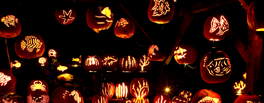 fête d'halloween